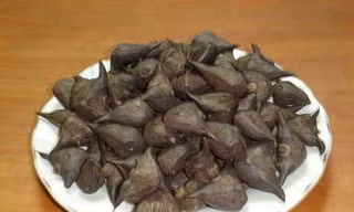Củ ấu chữa trĩ, viêm loét dạ dày