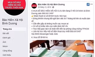 Muôn kiểu lạm dụng, trục lợi quỹ Bảo hiểm Xã hội, Bảo hiểm Thất nghiệp