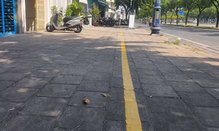 Kẻ vạch vỉa hè, cho xe máy đỗ miễn phí tại nhiều tuyến đường trung tâm TPHCM