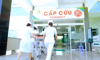 Ảnh minh họa: Internet