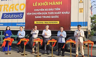 Tiền Giang lần đầu xuất khẩu dừa tươi sang Trung Quốc