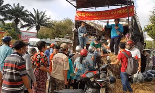 Bạn trẻ mua 27 tấn dưa hấu mang về phát miễn phí
