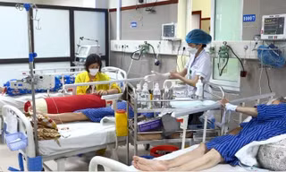 Ăn sâu lạ, 3 người bị cấp cứu. Ảnh: TL