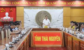 Lãnh đạo UBND tỉnh Thái Nguyên chỉ đạo cuộc họp.