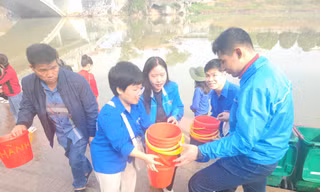 Tuổi trẻ xung kích, tình nguyện giúp dân thả cá. Ảnh: Duy Chiến 