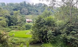 Hiện trường vụ việc -Ảnh: HL