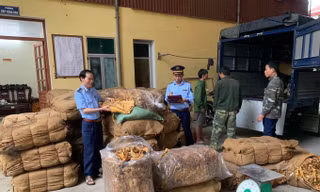 Thu giữ hàng chục tấn thuốc lá không có giấy tờ nguồn gốc.