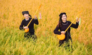 Mùa vàng Bắc Sơn. Ảnh: Ánh Dương