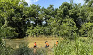 Tìm kiếm cháu bé mất tích,