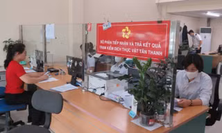 Mở ‘luồng xanh’ cho hoa quả tươi qua Lạng Sơn sang Trung Quốc 