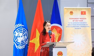 Thứ trưởng Nguyễn Minh Hằng phát biểu tại sự kiện. (Ảnh: TTXVN)
