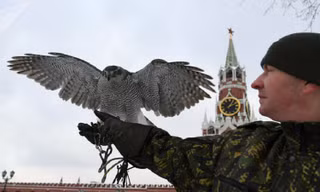 Biệt đội chim săn mồi tuần tra quanh Điện Kremlin