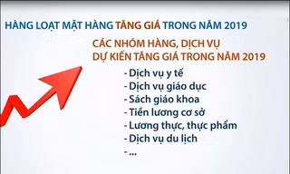 Hàng loạt mặt hàng tăng giá trong năm 2019