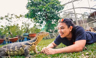 Gia đình nuôi bò sát làm thú cưng trong khu vườn 1.400 m2
