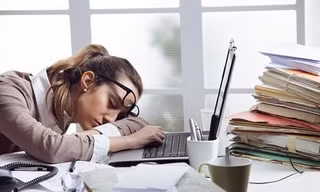 Ngủ trưa nhiều có thực sự gây mất trí nhớ?