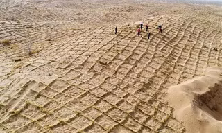 Rào chắn cát bằng gốc rạ giúp Trung Quốc đối phó sa mạc hóa