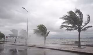 Năm 2019 bão sẽ xuất hiện muộn nhưng dị thường
