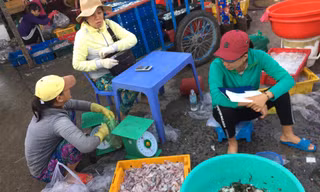 Theo các chuyên gia kinh tế, mức điều chỉnh thuế thu nhập cá nhân mới chưa đi kịp thực tế đời sống, cần giảm thêm để tránh vắt kiệt sức người nộp