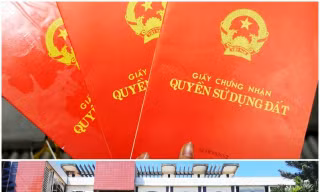 Công an bắt bà Sáng tại cơ quan lúc 10h30 ngày 25/8