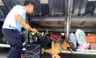 Lực lượng chống buôn lậu của Hải quan kiểm tra hàng hóa, hành lý xuất nhập cảnh. Ảnh minh họa của: Tuấn Nguyễn