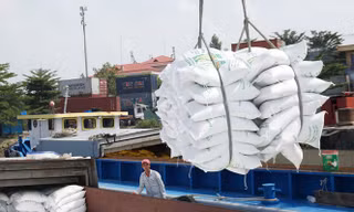Thông báo hủy thầu của Cục Dự trữ Nhà nước Vĩnh Phú mới đây