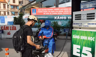 Ảnh minh họa. Nguồn: Internet