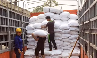 Công nhân bốc xếp gạo từ kho dự trữ quốc gia