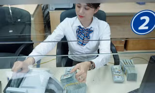 Chỉ số USD-Index tăng mạnh trong tuần qua, Ngân hàng Nhà nước cũng liên tiếp nâng tỷ giá trung tâm, nhưng tỷ giá USD/VND trên các thị trường vẫn khá ổn định - Ảnh: Quang Phúc. 