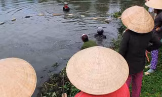 Mặn mà cá bổi U Minh