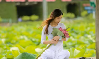 Hốt 'bạc triệu' mỗi ngày trong mùa sen Hồ Tây