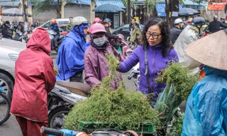 Người dân Thủ đô 'săn' mùi già để tắm Tất niên