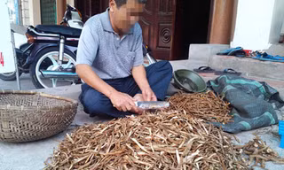 “Đông dược” hay độc dược ?