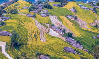 Ngỡ ngàng vẻ đẹp ruộng bậc thang Hoàng Su Phì mùa lúa chín