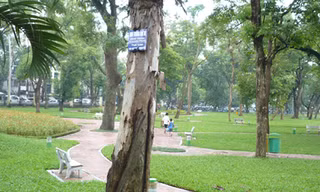 Phải giữ công viên bằng mọi giá