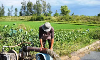 Nắng nóng sớm, bão nhiều hơn