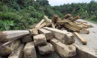 Tan hoang rừng đầu nguồn biên giới