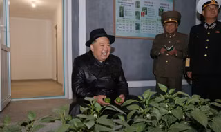 Ông Kim Jong Un đã dự lễ khai trương một trang trại nhà kính ngày 10/10. (Ảnh: KCNA)