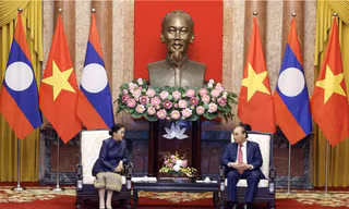 Chủ tịch nước Nguyễn Xuân Phúc tiếp Phó Chủ tịch nước Lào Pany Yathotou. (Ảnh: TTXVN)