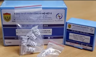Thanh tra việc mua kit xét nghiệm COVID-19 tại Bộ Y tế, Hà Nội và TPHCM