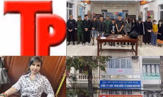 Bản tin Hình sự: Nhân viên công ty đấu giá kết hợp với bạn trai dìm giá đất
