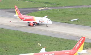 Bay vui trong mùa lễ hội