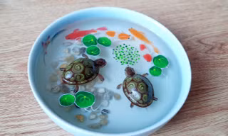 Mãn nhãn tranh 3D của thanh niên khuyết tật ở Cần Thơ