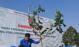 Nhiều hoạt động ý nghĩa Ngày Chủ nhật Xanh ở Cần Thơ