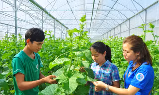 An Giang hỗ trợ hơn nửa tỷ đồng cho bạn trẻ vay vốn khởi nghiệp ​
