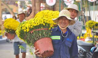 'Trâu lái phi thuyền' và nhiều mô hình đẹp mắt tại đường hoa Xuân Cần Thơ 