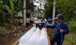 Cận cảnh hạn mặn khốc liệt đe dọa cuộc sống người dân ĐBSCL