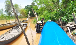Dân đầu nguồn Đồng Tháp mỏi mòn chờ lũ