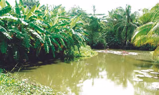 Đất 'quan' đắt hơn đất dân!