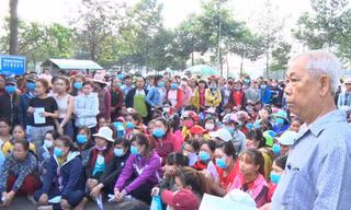 Kiến nghị khởi tố 354 vụ gian lận BHXH