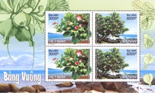 Blốc bộ tem bàng vuông.